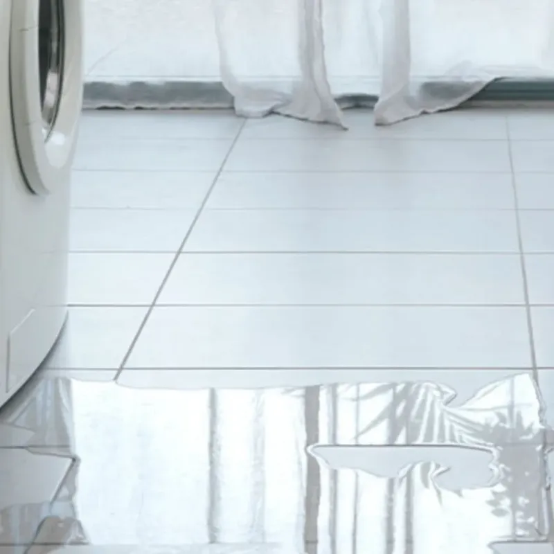Appliance Leak Cleanup in Granite Falls, WA